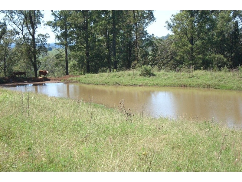 496 Iron Pot Creek Road, Kyogle NSW 2474