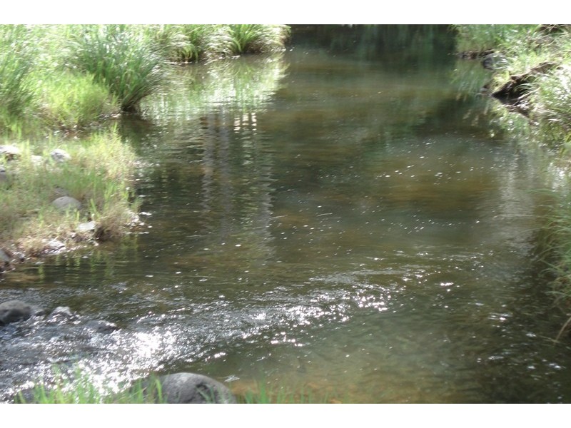 75 Cedargetters Creek Road, Kyogle NSW 2474