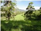 75 Cedargetters Creek Road, Kyogle NSW 2474