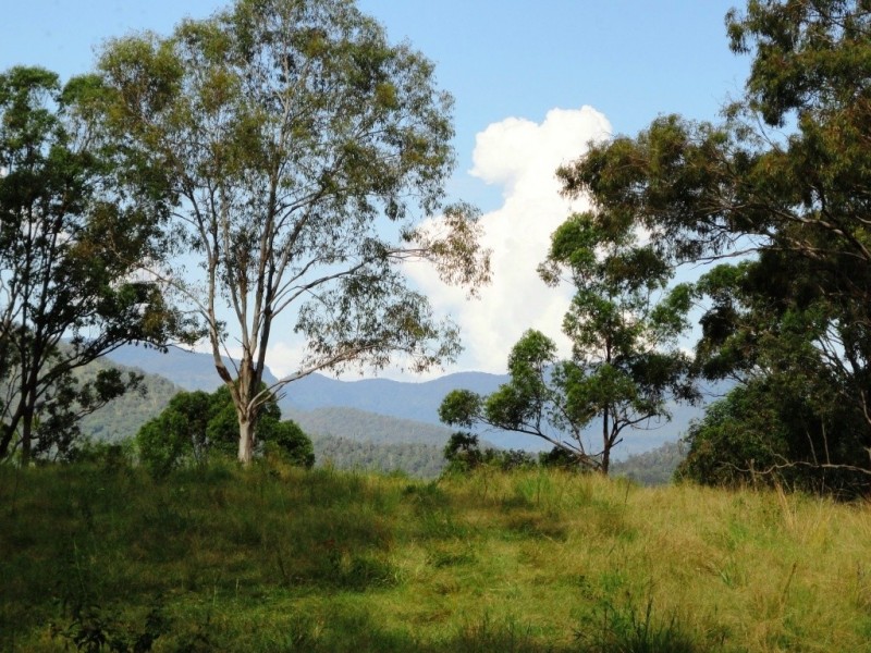 75 Cedargetters Creek Road, Kyogle NSW 2474