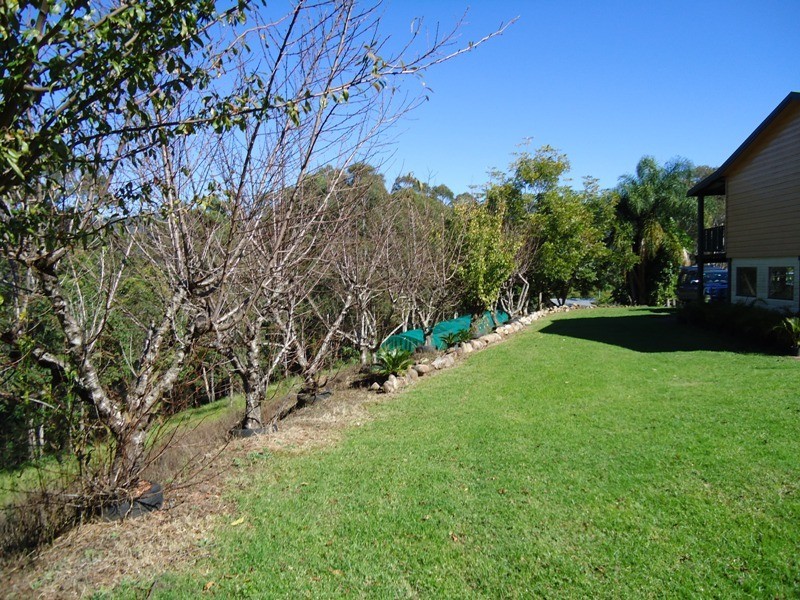 420 Lions Road, Cougal, Kyogle NSW 2474