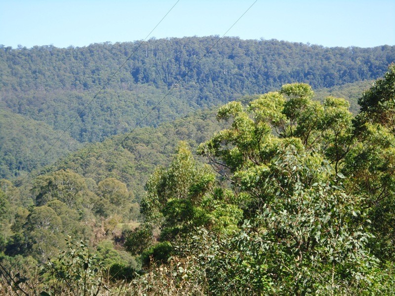 420 Lions Road, Cougal, Kyogle NSW 2474