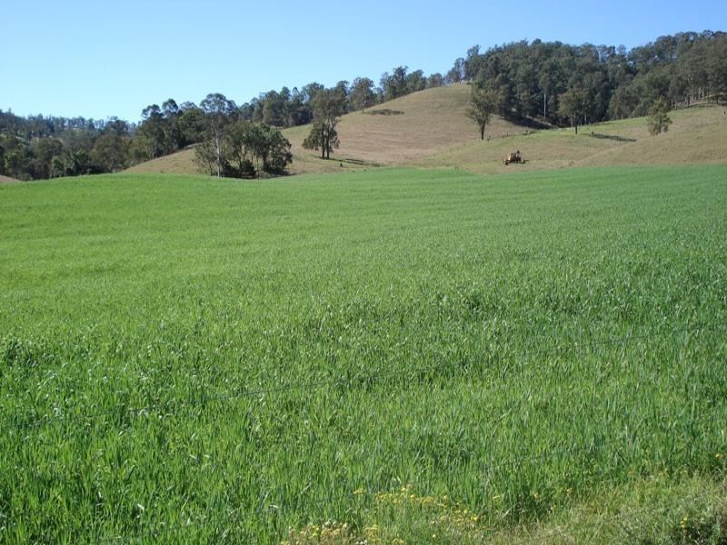 0 Wyndham Creek Road, Wyndham, Kyogle NSW 2474