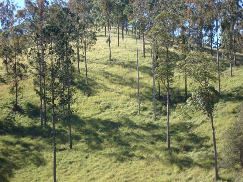 0 Wyndham Creek Road, Wyndham, Kyogle NSW 2474