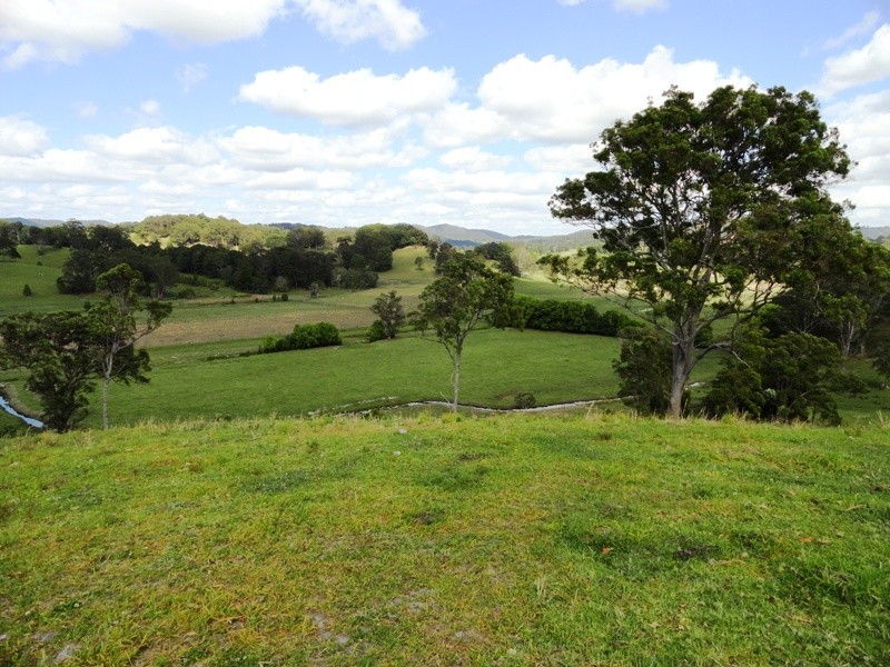 1006 CLOTHIERS CREEK ROAD, Tweed Heads NSW 2485