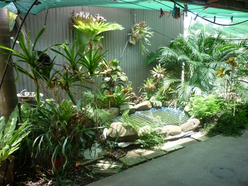 20-22 Worendo Street, Wiangaree NSW 2474