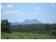 1149 LILLIAN ROCK, Murwillumbah NSW 2484