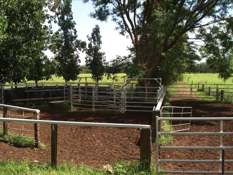 WIANGAREE ROAD, Kyogle NSW 2474
