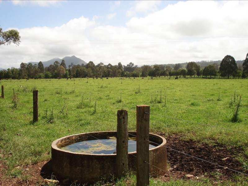 WIANGAREE ROAD, Kyogle NSW 2474