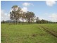 WIANGAREE ROAD, Kyogle NSW 2474