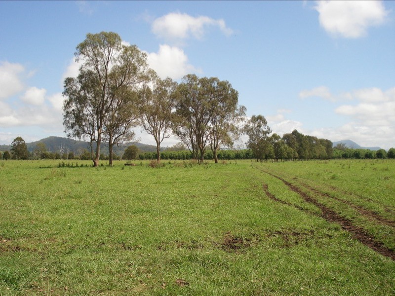 WIANGAREE ROAD, Kyogle NSW 2474