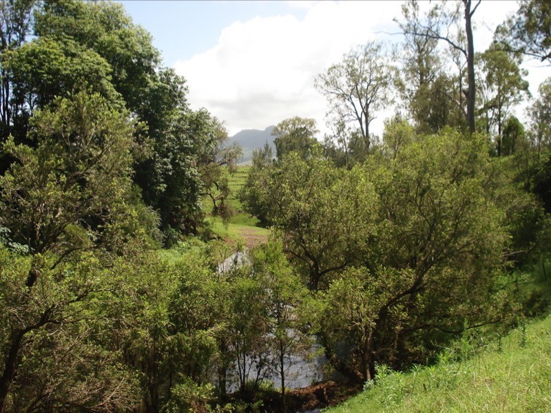 WIANGAREE ROAD, Kyogle NSW 2474