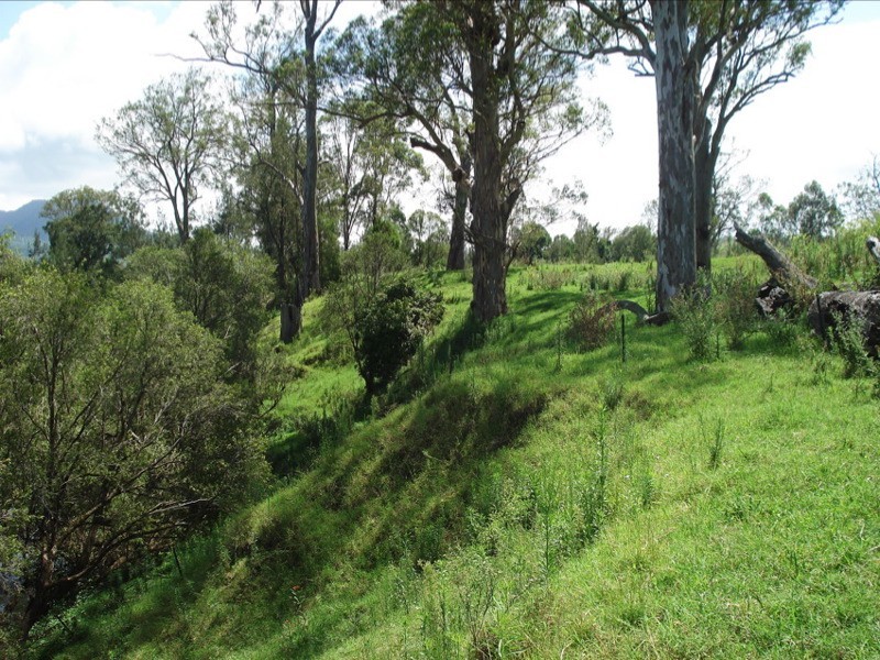 WIANGAREE ROAD, Kyogle NSW 2474