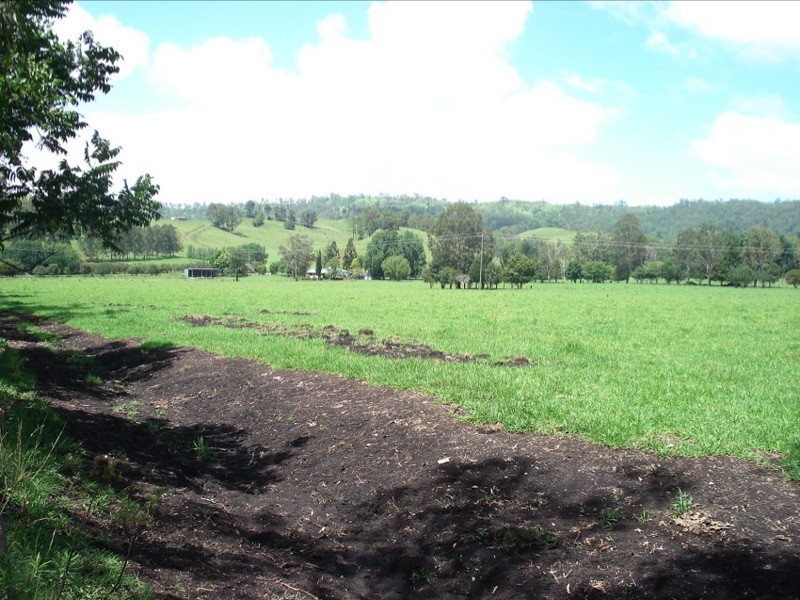 WIANGAREE ROAD, Kyogle NSW 2474