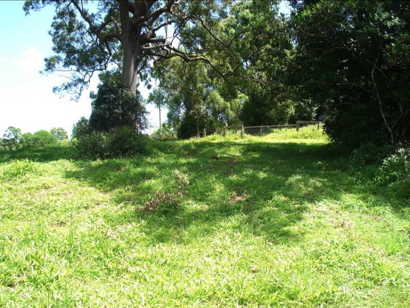 Lillian Rock NSW 2480