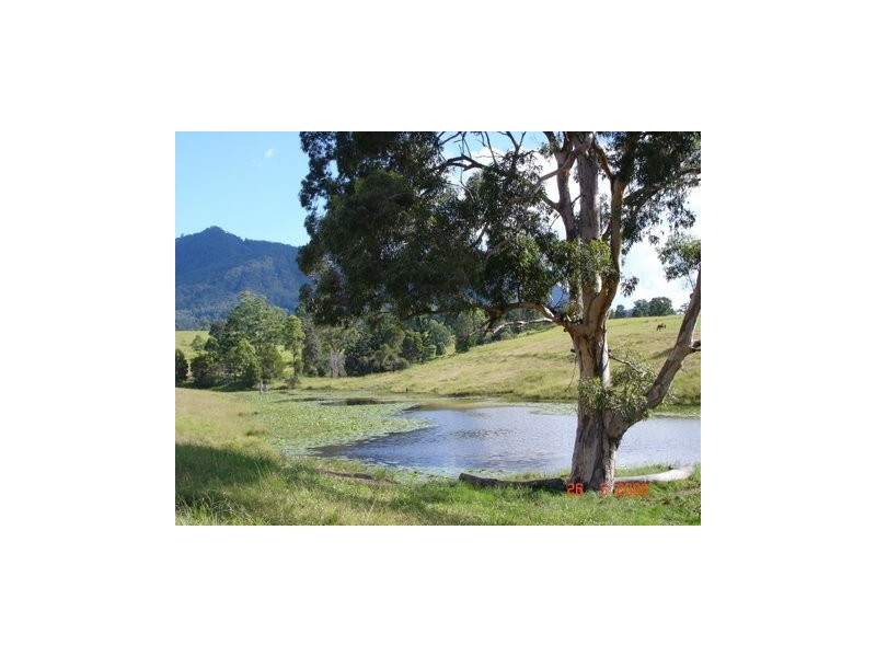 Doon Doon Road, Midginbil NSW 2484