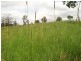 Doon Doon Road, Midginbil NSW 2484