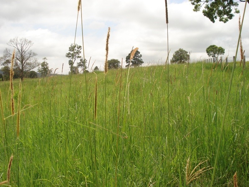 Doon Doon Road, Midginbil NSW 2484