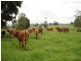 Doon Doon Road, Midginbil NSW 2484