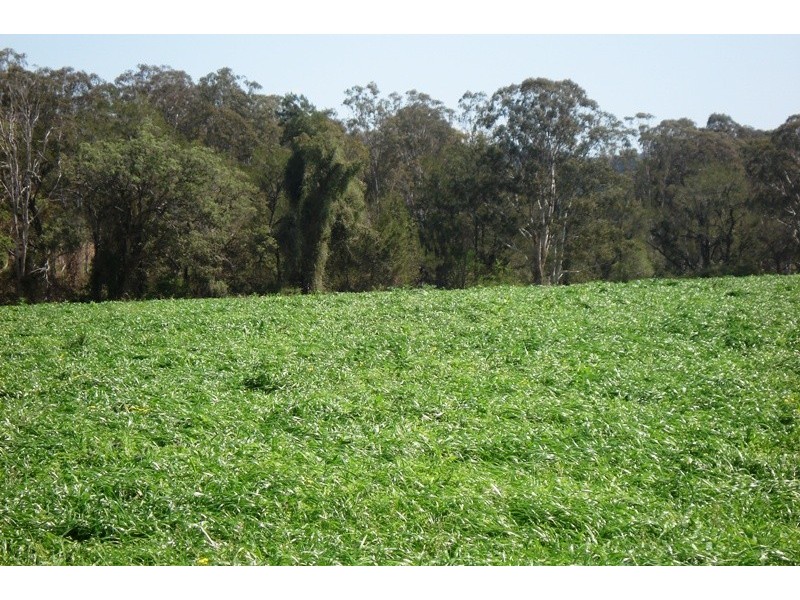 Summerland Way, Unumgar NSW 2474