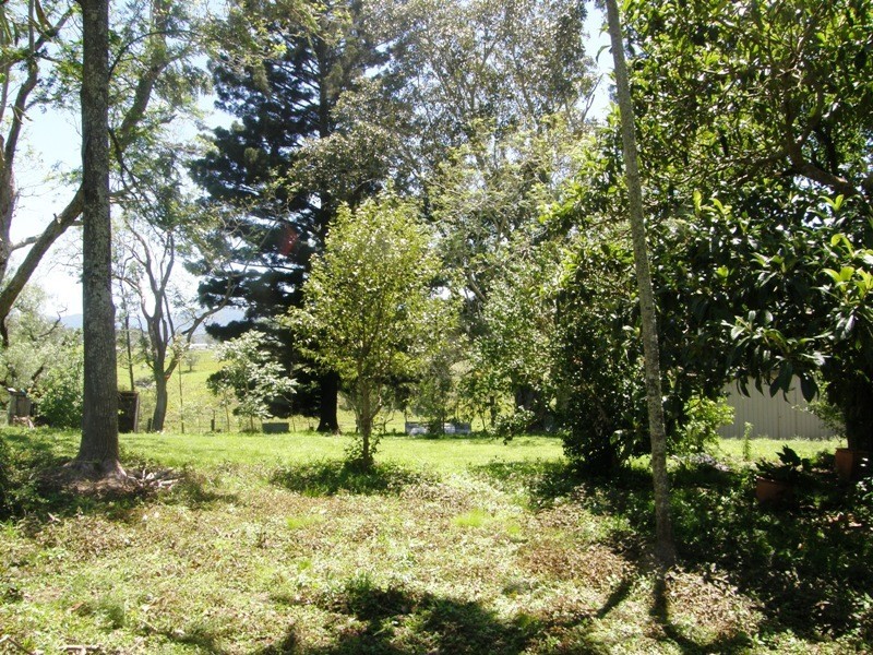 1345 Collins Creek Road, Kyogle NSW 2474