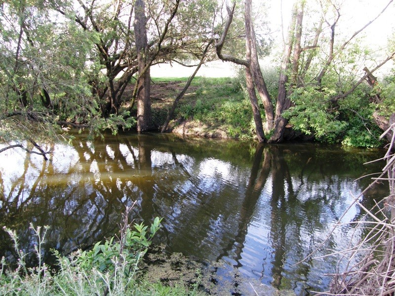 422 Mockhara, Kyogle NSW 2474