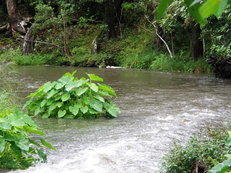 656 Collins Creek Road, Kyogle NSW 2474