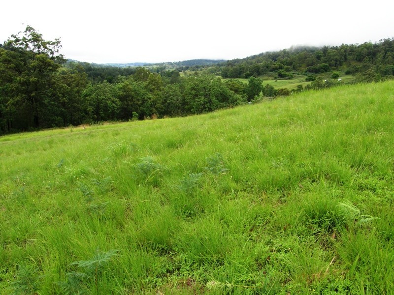 656 Collins Creek Road, Kyogle NSW 2474