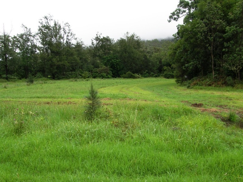 656 Collins Creek Road, Kyogle NSW 2474