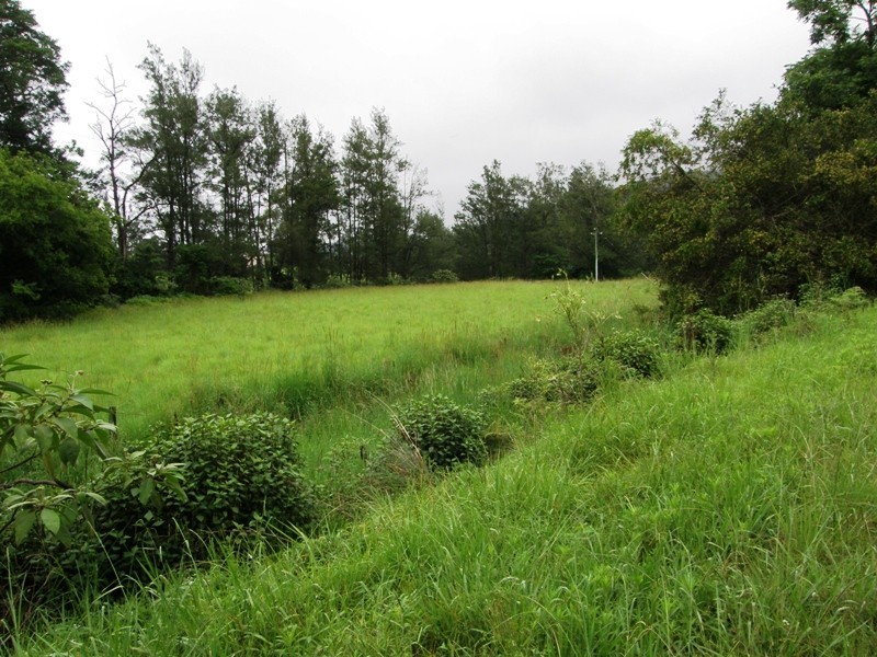 656 Collins Creek Road, Kyogle NSW 2474