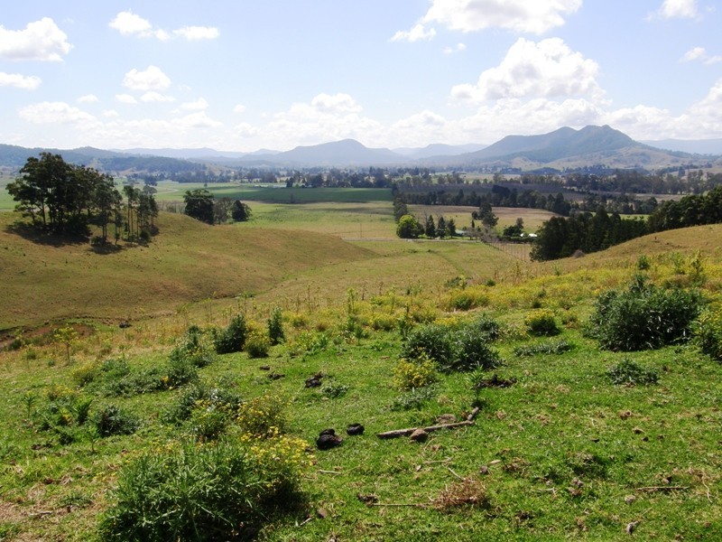 691 West Wiangaree Road, Kyogle NSW 2474