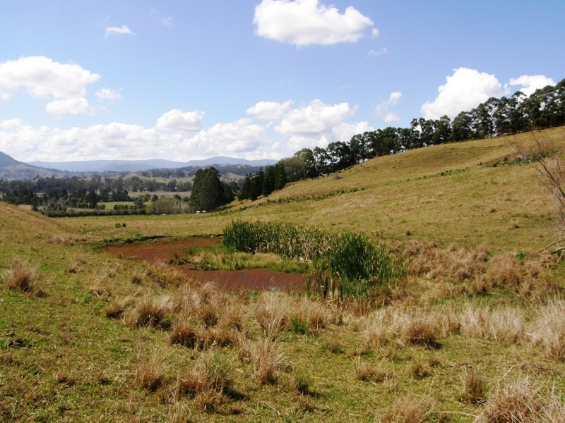 691 West Wiangaree Road, Kyogle NSW 2474