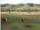 Kyogle NSW 2474