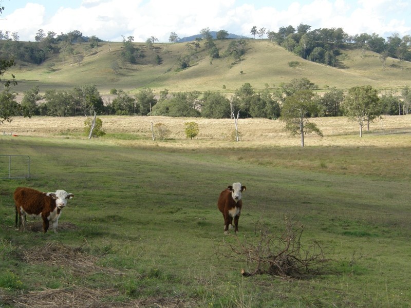 Kyogle NSW 2474