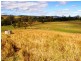 Kyogle NSW 2474
