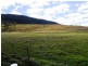 Kyogle NSW 2474