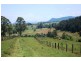 Whites Road, Homeleigh NSW 2474