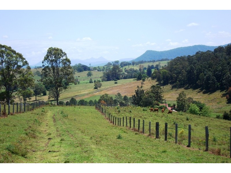 Whites Road, Homeleigh NSW 2474