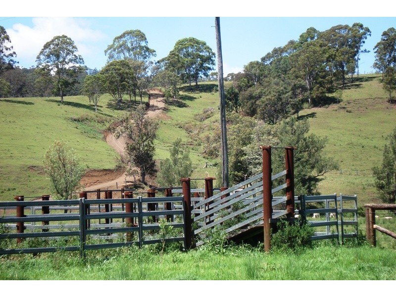 Whites Road, Homeleigh NSW 2474