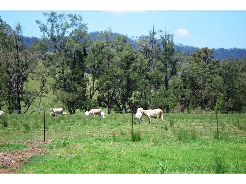 Whites Road, Homeleigh NSW 2474