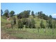 Whites Road, Homeleigh NSW 2474