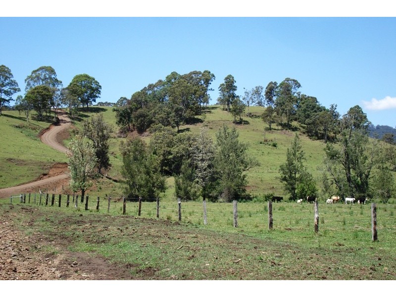 Whites Road, Homeleigh NSW 2474