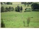 Whites Road, Homeleigh NSW 2474