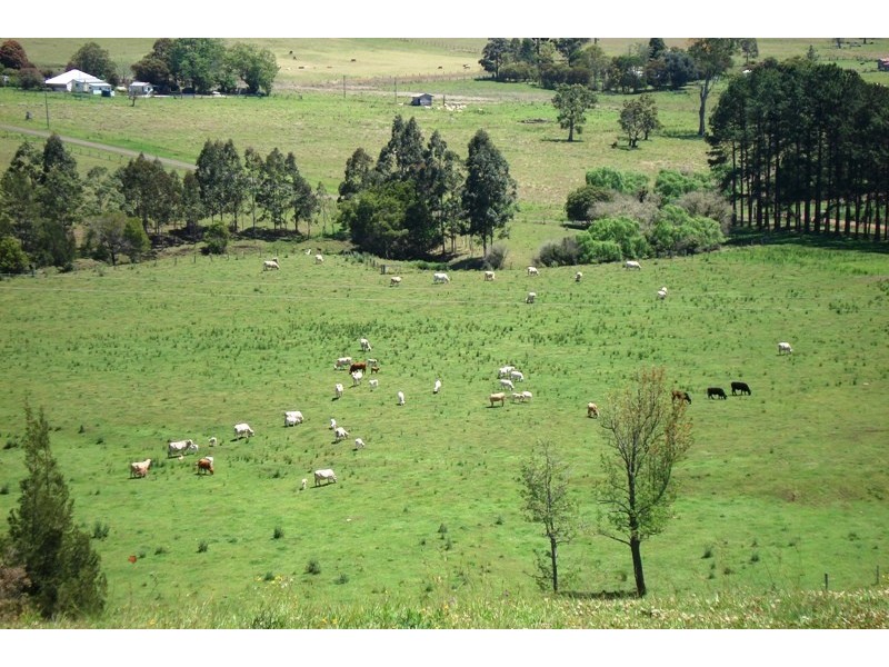 Whites Road, Homeleigh NSW 2474