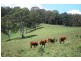 Whites Road, Homeleigh NSW 2474