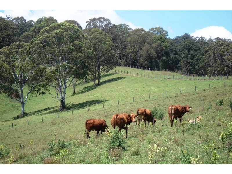 Whites Road, Homeleigh NSW 2474