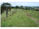 Whites Road, Homeleigh NSW 2474