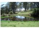 Whites Road, Homeleigh NSW 2474