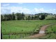 Whites Road, Homeleigh NSW 2474