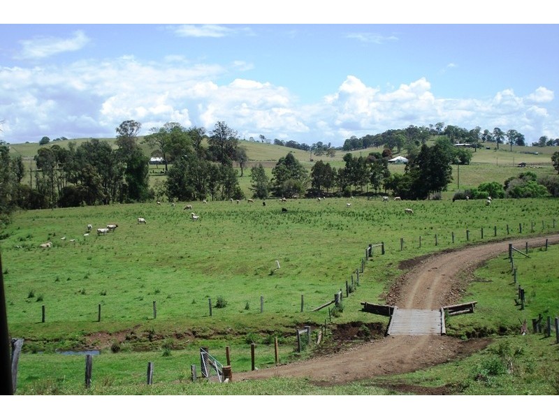 Whites Road, Homeleigh NSW 2474